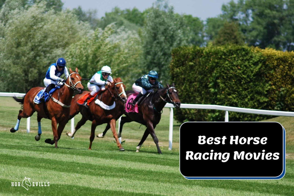 16 Best Horse Racing Movies You Will Love To Watch! – My Store